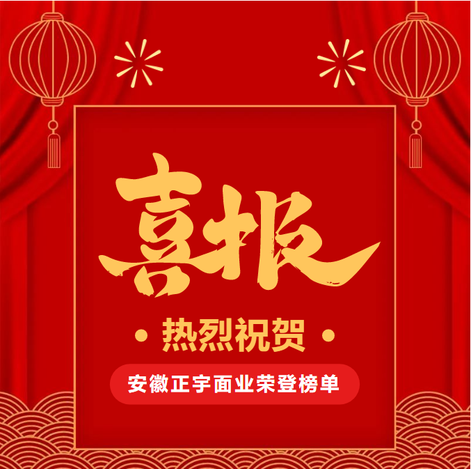 喜报！安徽正宇面业荣登20...