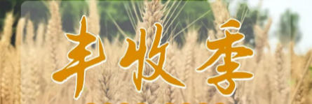 “皖”里有粮 | 安徽正宇集...