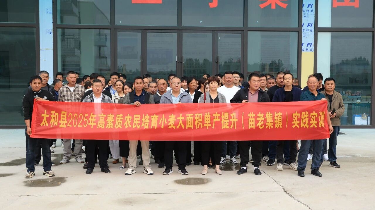 快讯！太和县2025年高素质...