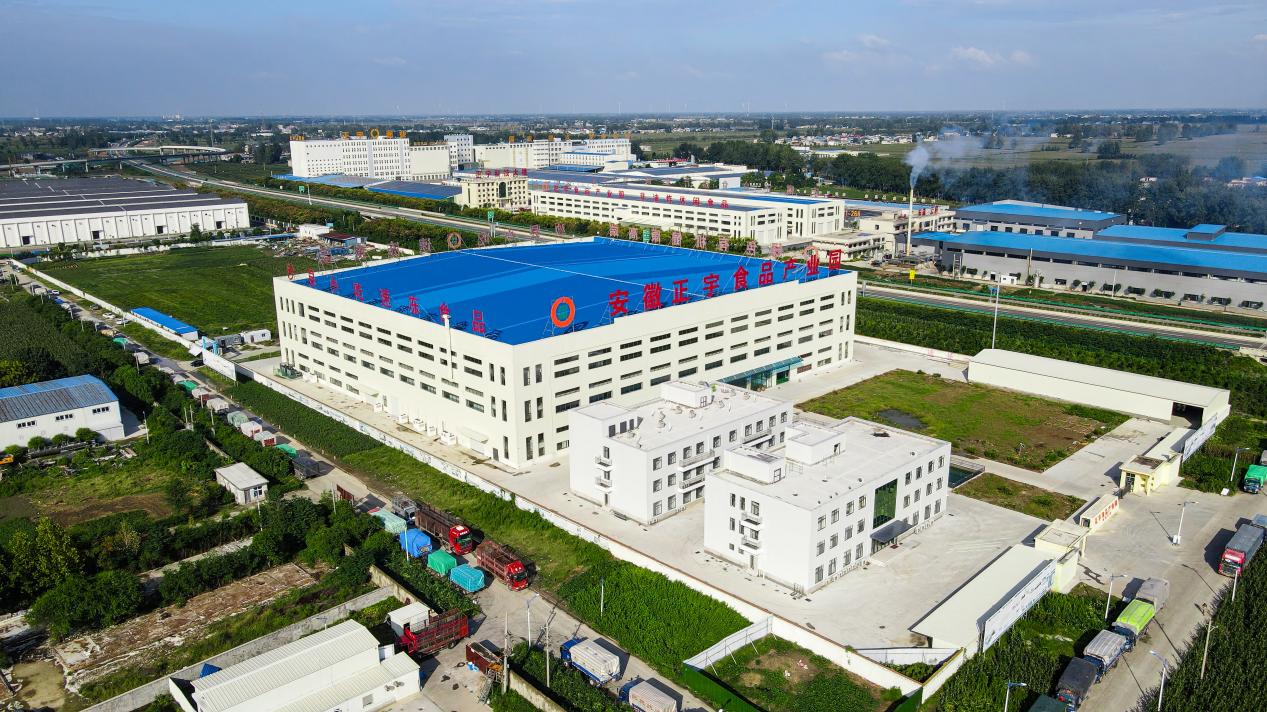 “媒”好正宇丨“涡阳之窗...