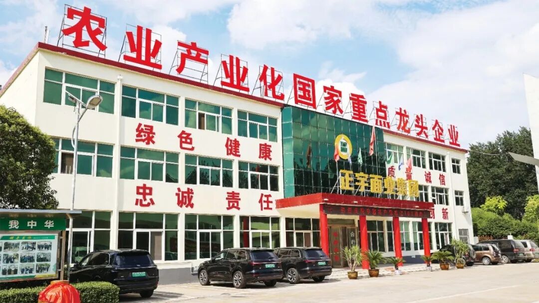 喜报！安徽正宇集团旗下正...